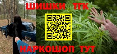 индика Усть-Джегута