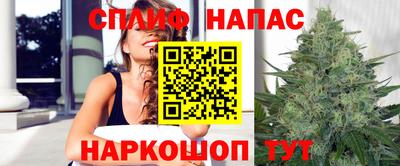 индика Усть-Джегута