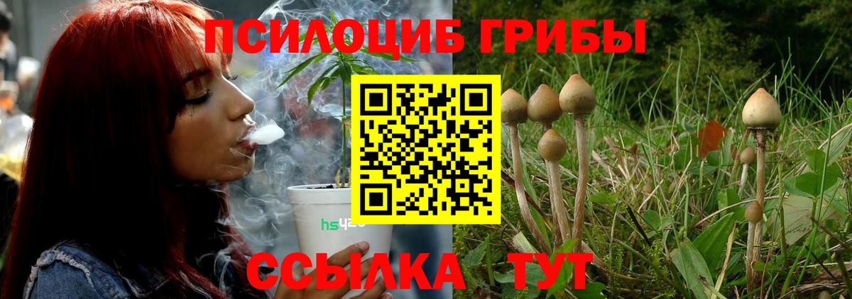 Архангельск  Псилоцибиновые грибы MAGIC MUSHROOMS  Вход с VPN 